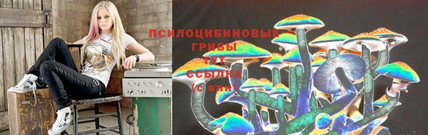 МДПВ Абинск