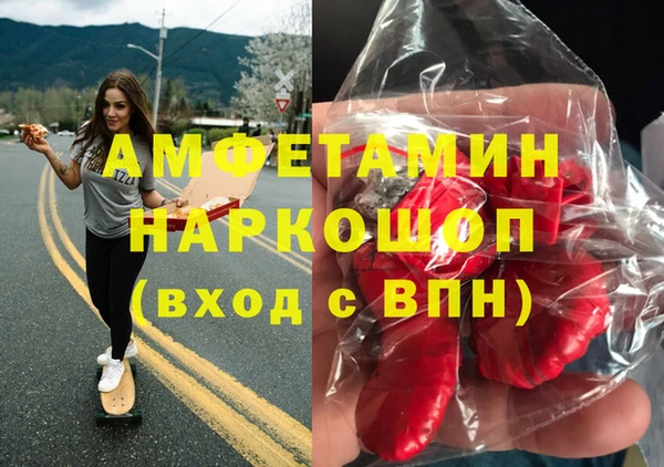 стаф Алзамай