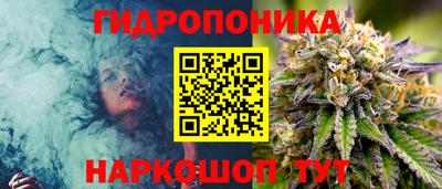 мдпв Ипатово