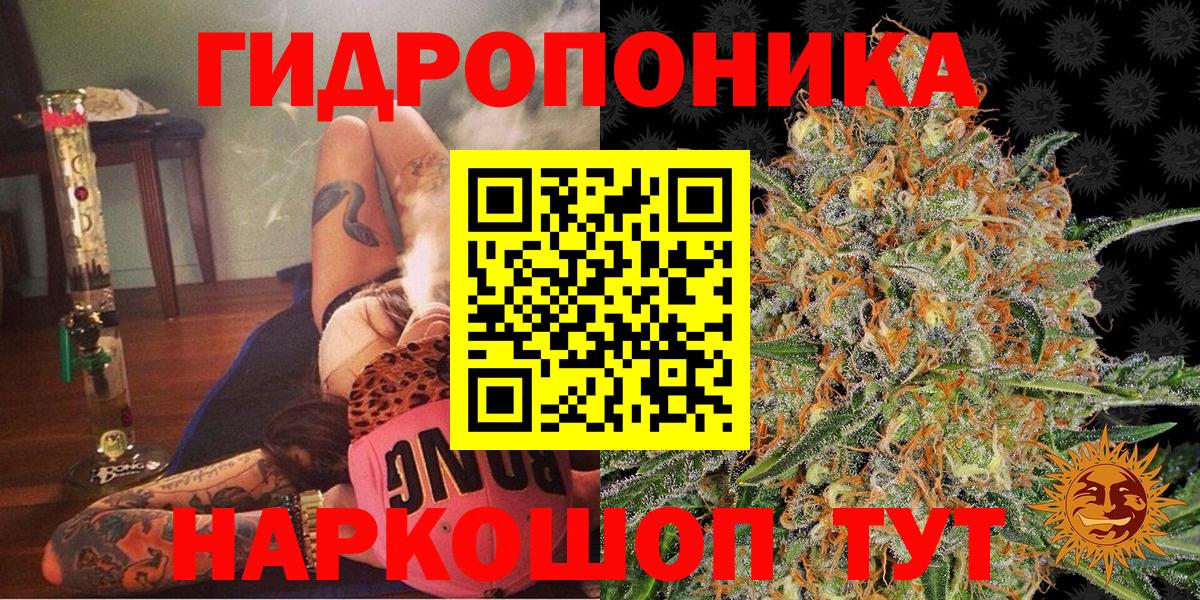 Бошки Шишки VHQ  Марихуана конопля  Вход с VPN  Каннабис Amnesia  Партизанск 